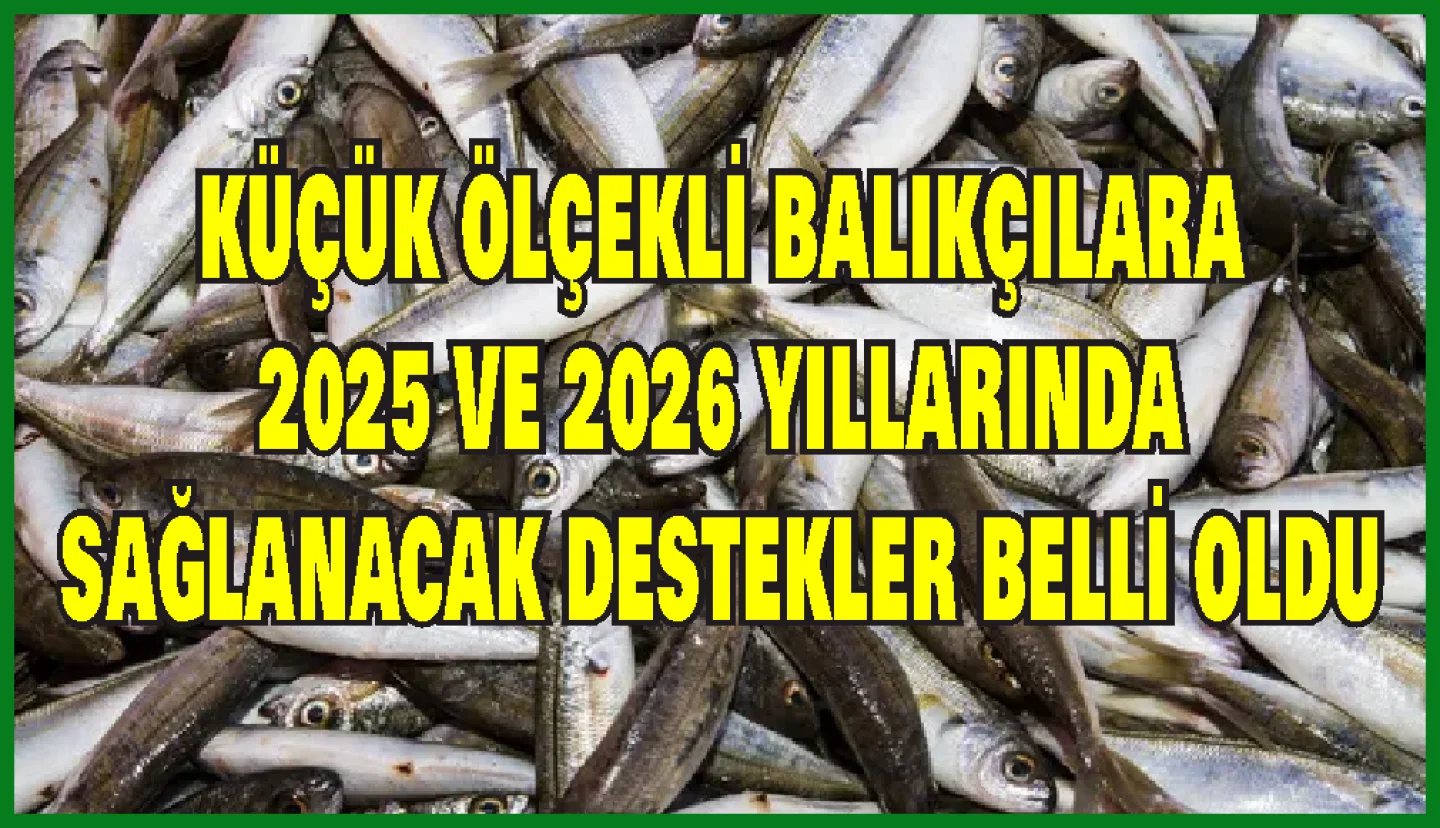 Küçük Ölçekli Balıkçılığın Desteklenmesi Tebliği, Resmî Gazete'de yayımlanarak yürürlüğe girdi 