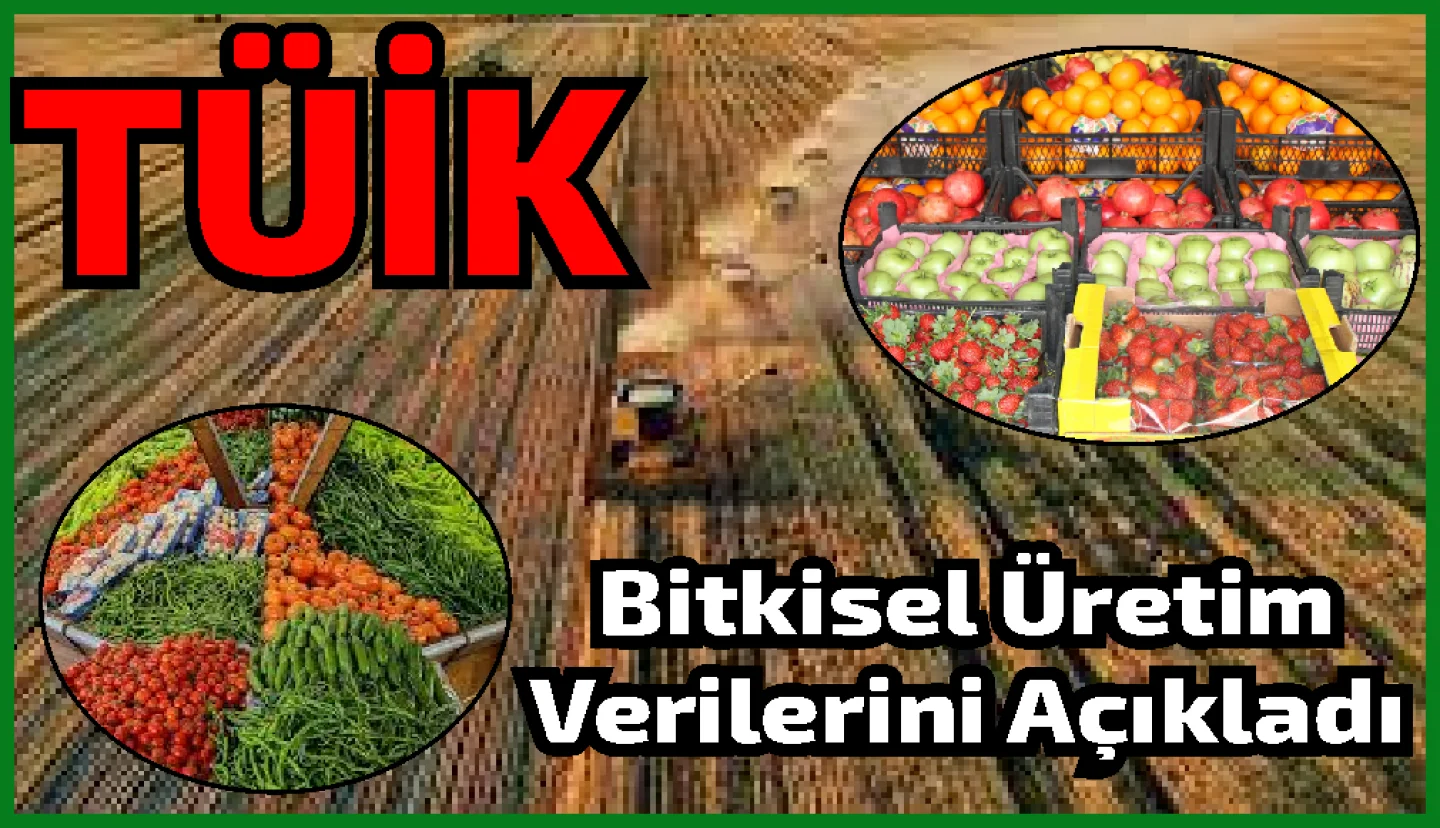 Bitkisel üretimin bir önceki yıla göre tarla ürünlerinde azalacağı, meyve ve sebze grubunda ise artacağı tahmin edildi