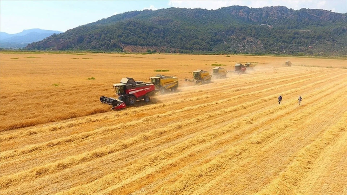 Kasım 2024 Tarımsal Girdi Fiyat Endeksi, Kasım 2024