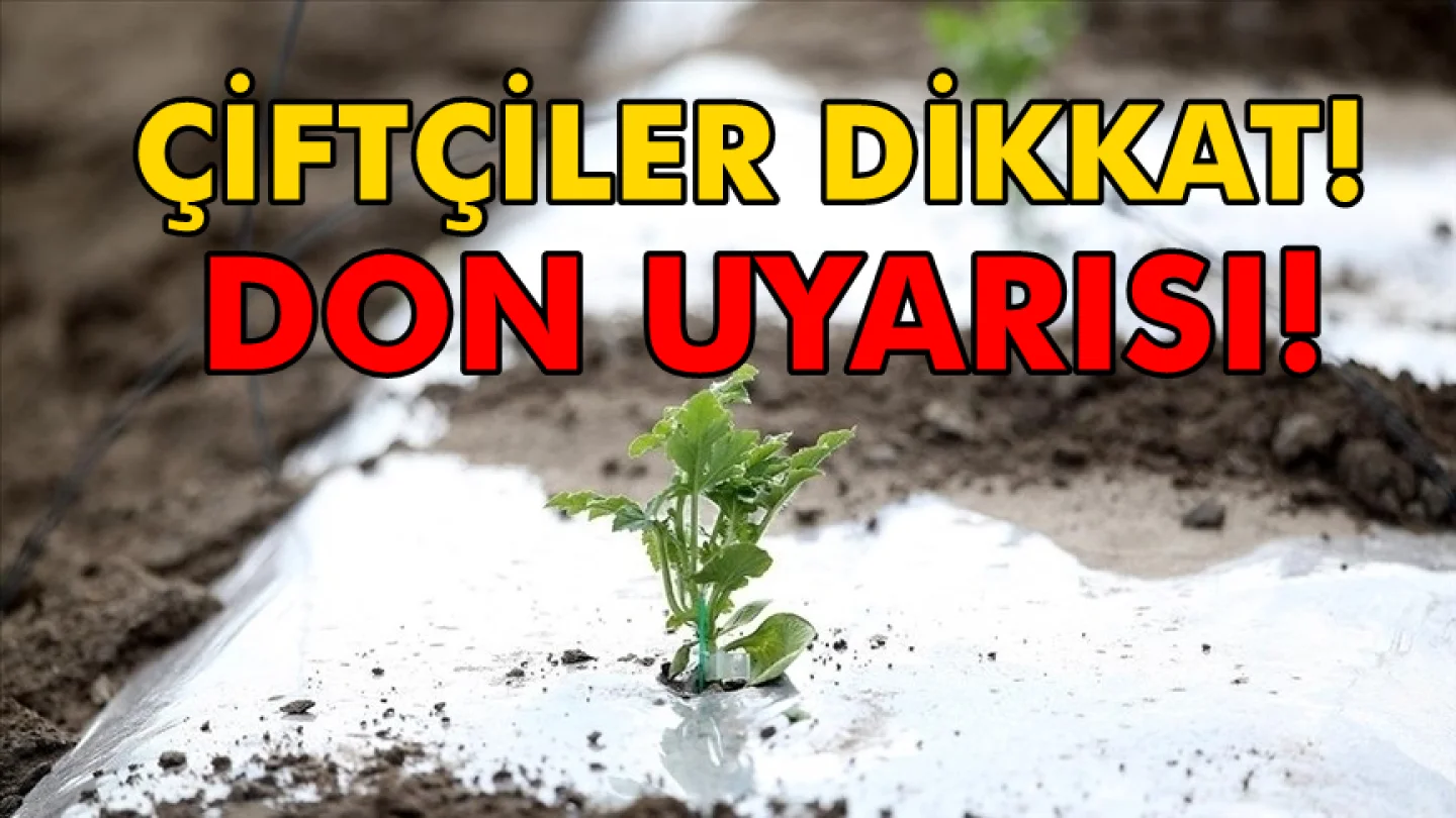 Adana'da Zirai Don Uyarısı: Çiftçiler İçin Acil Önlem Çağrısı