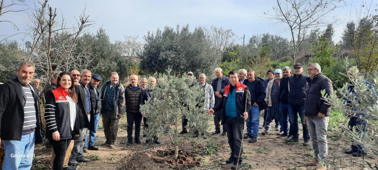 34 Çiftçi Belgelerini Aldı: TAYEM’in Zeytin Yetiştiriciliği Eğitimi Yoğun İlgi Gördü