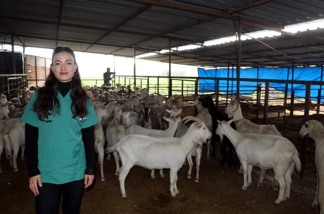 Devlet Desteğiyle Hayvancılığa Adım Attı, Aile Mesleğini Yaşatıyor
