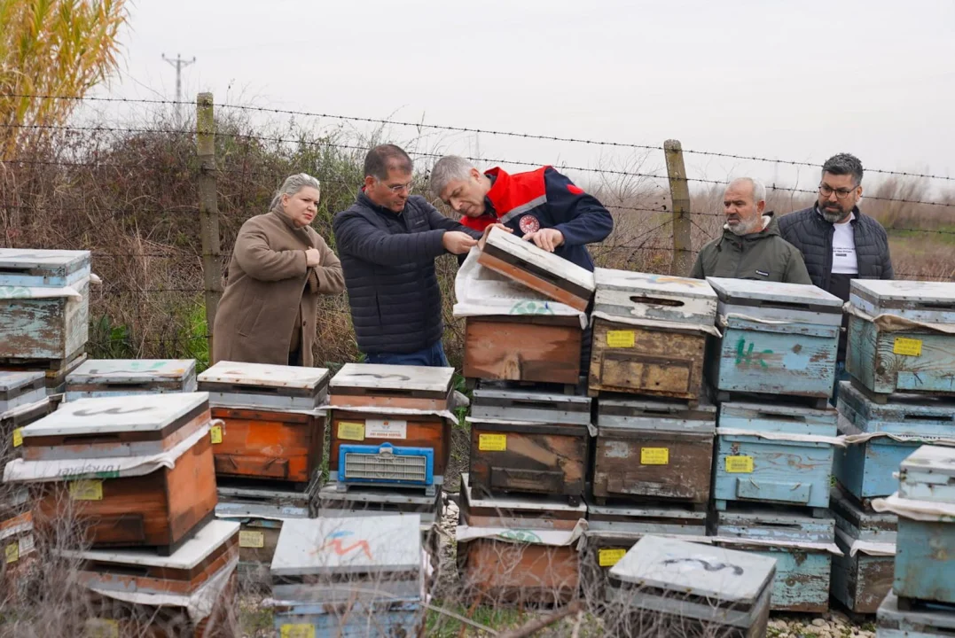 İl Müdürü Bayazıt’tan Yağış Sonrası Tarım Alanlarında İnceleme