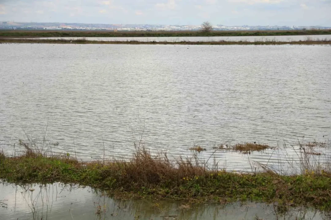 Mehmet Akın Doğan’dan DSİ’ye 