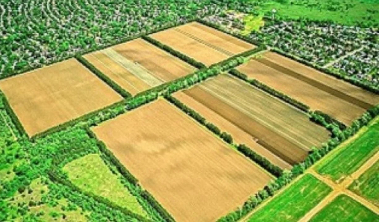 Ceyhan’da Tapular Yenileniyor: Eski Numaralar Silindi, Sınırlar Yeniden Çizildi!