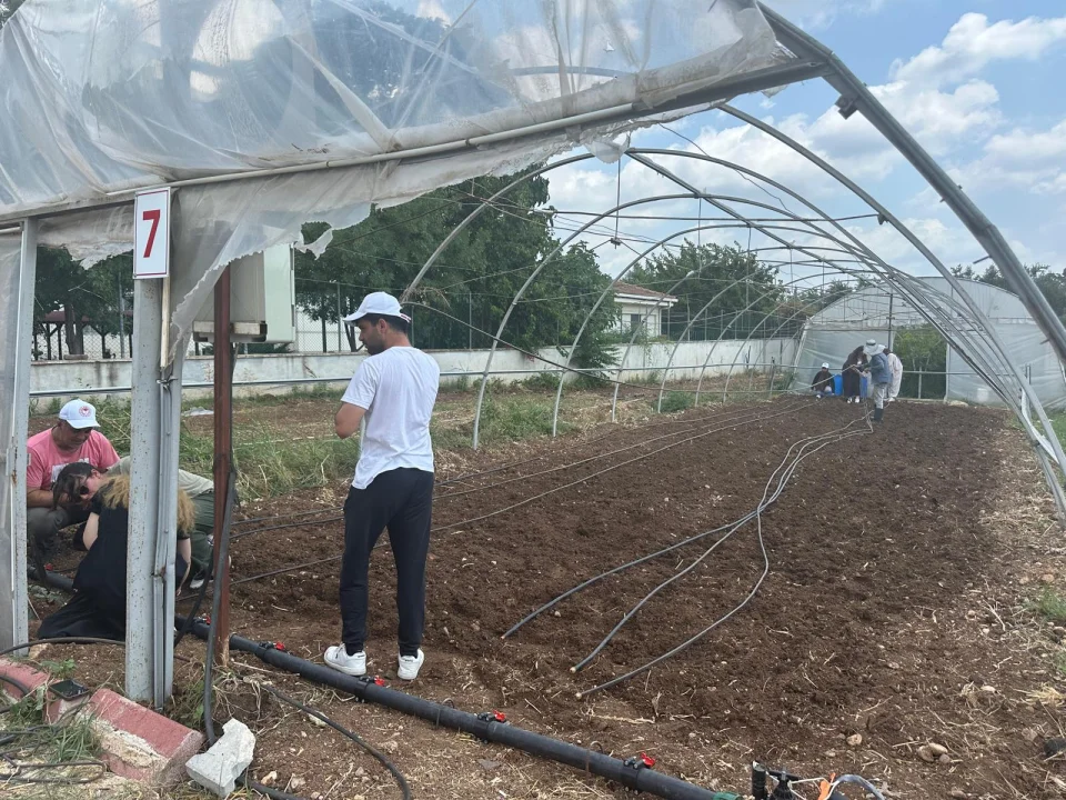 Toprak Güneş Enerjisiyle Temizleniyor: Uygulama Seralarında Solarizasyon Seferberliği