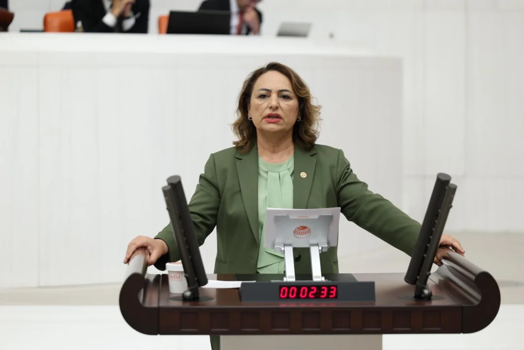 Dr. Müzeyyen Şevkin’den 1 Eylül Dünya Barış Günü Çağrısı: 